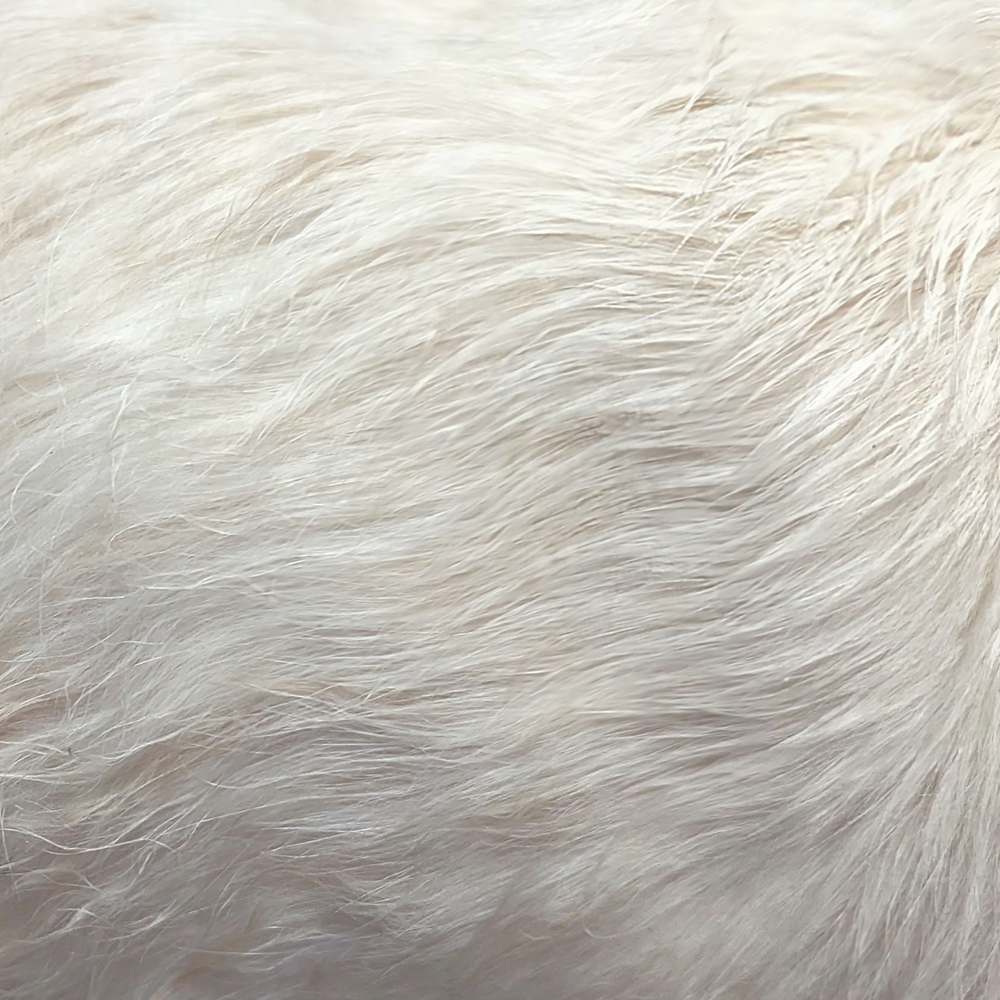 Coat Study: Silk Coats | Harlequin Dog Grooming